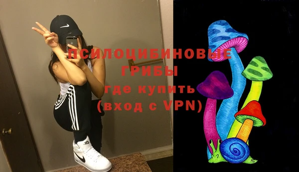винт Белокуриха