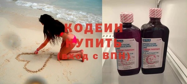 сатива Беломорск