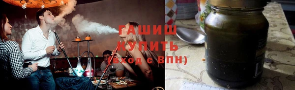 сатива Беломорск