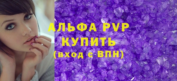 сатива Беломорск