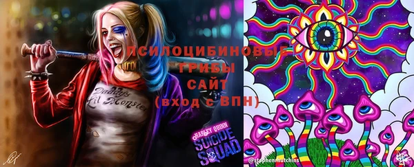 сатива Беломорск