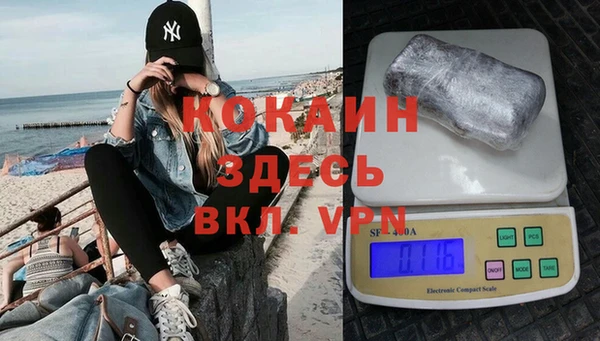 сатива Беломорск