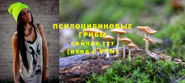сатива Беломорск