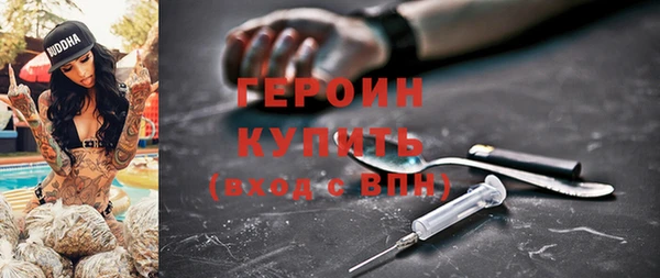 сатива Беломорск